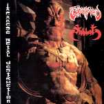 split w/Terror Squad